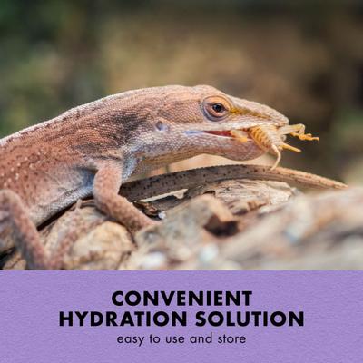 Show full view: Zilla Gut Load Cricket Drink Supplement, 16-fl oz bottle slide 5 of 9