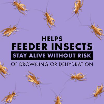 Show full view: Zilla Gut Load Cricket Drink Supplement, 16-fl oz bottle slide 4 of 9