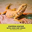Show in main carousel: Zilla Terrarium Heat Mat Reptile Heater, 8-watt slide 5 of 12