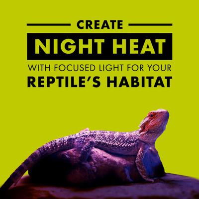 Show full view: Zilla Night Black Reptile Basking Bulb, 150-watt slide 3 of 10