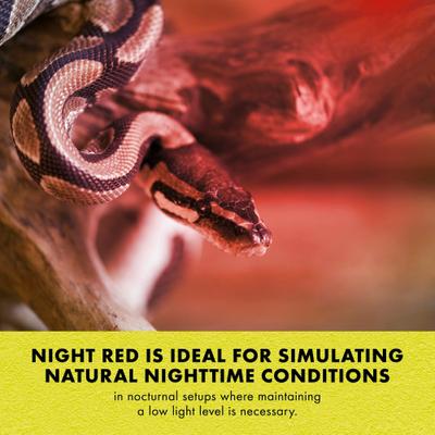 Show full view: Zilla Light & Heat Mini Halogen Bulb for Reptile Terrariums, Night Red, 50 Watts slide 7 of 11