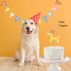 Sweet Paws x Five Dot Post "Pawty Animal" DOG Mini Pawty Pack, 18 piece set slide 2 of 9