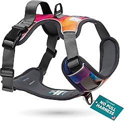 Embark Harness Co. Adventure No Pull Dog Harness, Aurora, Medium