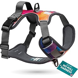 Embark Harness Co. Adventure No Pull Dog Harness, Aurora, Medium