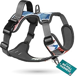 Embark Harness Co. Adventure No Pull Dog Harness, Santa Monica, Small