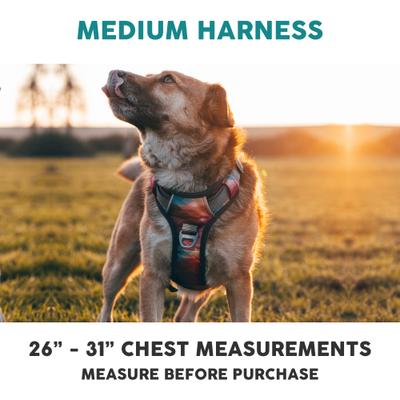 Show full view: Embark Harness Co. Adventure No Pull Dog Harness, Aurora, Medium slide 3 of 11