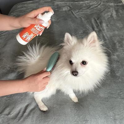 Show full view: Pet MasterMind Fluffy Fido Dog Dandruff Treatment Spray, 7-fl oz bottle slide 8 of 9