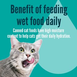 A Strong Heart Tuna Dinner in Gravy Wet Cat Food, 3-oz, case of 24 slide 2 of 9