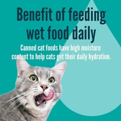 Show full view: A Strong Heart Roasted Turkey Entree Wet Cat Food Split Cup, 2.6-oz Split Cups, case of 10 slide 8 of 10