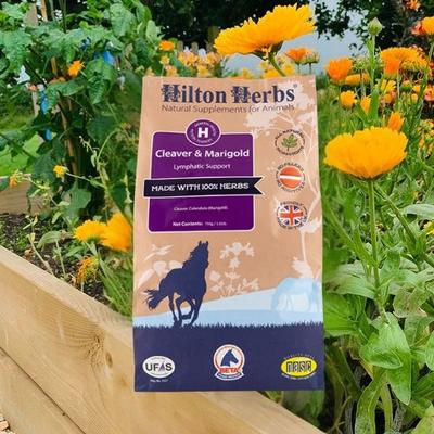 Show full view: Hilton Herbs Cleavers & Marigold Lymphatic Support Horse Supplement, 1.65-lb bag slide 5 of 6