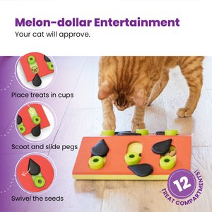 Outward Hound Melon Madness Puzzle & Play Cat Toy
