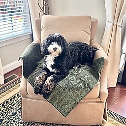 Magic Fabric Luxurious Odor Resistant Dog & Cat Furniture Cover, Moss, Small