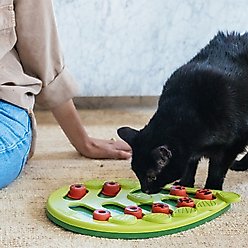 Nina Ottosson by Outward Hound Buggin' Out Puzzle & Play Cat Toy slide 2 of 9
