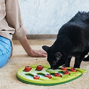 Nina Ottosson by Outward Hound Buggin' Out Puzzle & Play Cat Toy