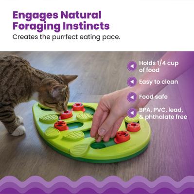 Show full view: Nina Ottosson by Outward Buggin' Out Interactive Puzzle Feeder Cat Toy slide 4 of 12