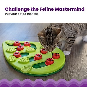 Nina Ottosson by Outward Hound Buggin' Out Puzzle & Play Cat Toy