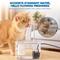 Show in main carousel: SunGrow Automatic Flowing Hydration with Filter Transparent Feeder Bowl Cat Water Fountain, 4.7 x 6 x 5 in slide 5 of 9