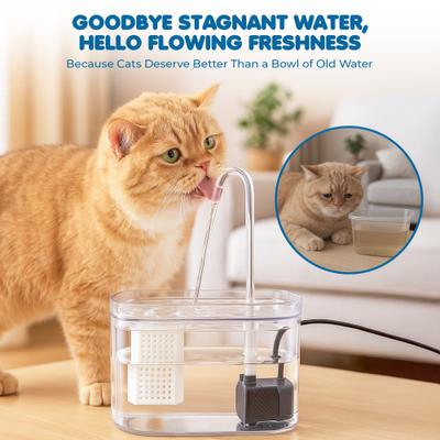 Show full view: SunGrow Automatic Flowing Hydration with Filter Transparent Feeder Bowl Cat Water Fountain, 4.7 x 6 x 5 in slide 5 of 9