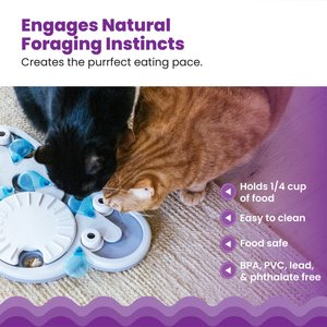 Nina Ottosson by Outward Hound Rainy Day Puzzle & Play Cat Toy