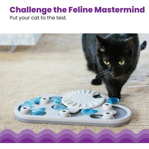 Nina Ottosson by Outward Hound Rainy Day Puzzle & Play Cat Toy