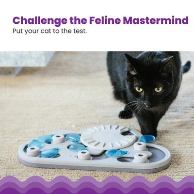 Show full view: Nina Ottosson by Outward Hound Rainy Day Puzzle & Play Cat Toy slide 3 of 13