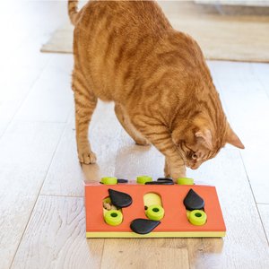 Outward Hound Melon Madness Puzzle & Play Cat Toy