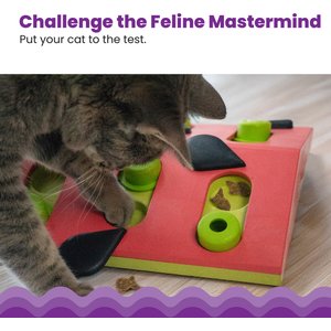Outward Hound Melon Madness Puzzle & Play Cat Toy