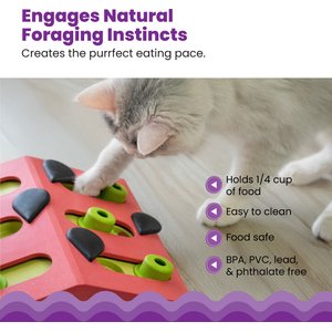 Outward Hound Melon Madness Puzzle & Play Cat Toy