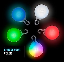 Nite Ize SpotLit Splash Waterproof Rechargeable Disc-O Tech Collar Light slide 2 of 8