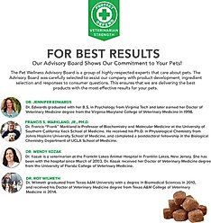 VetSmart Formulas Critical Joint Relief Soft Chew for Dogs, 60 count slide 2 of 8