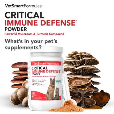 VetSmart Formulas Critical Immune Defense Mushroom & Turmeric Compound Dog & Cat Supplement, 6.3-oz bottle