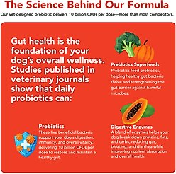 VetSmart Formulas Critical Digestive Restore Soft Chew for Dogs, 60 count slide 2 of 8