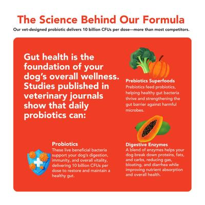 Show full view: VetSmart Formulas Critical Digestive Restore Soft Chew for Dogs, 60 count slide 6 of 10