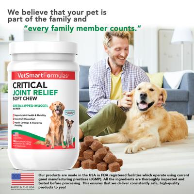 Show full view: VetSmart Formulas Critical Joint Relief Soft Chew for Dogs, 60 count slide 8 of 10