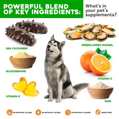 Show full view: VetSmart Formulas Critical Joint Relief Soft Chew for Dogs, 60 count slide 7 of 10