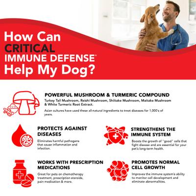 VetSmart Formulas Critical Immune Defense Mushroom & Turmeric Compound Dog & Cat Supplement, 6.3-oz bottle
