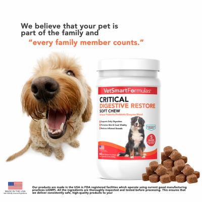Show full view: VetSmart Formulas Critical Digestive Restore Soft Chew for Dogs, 60 count slide 7 of 10