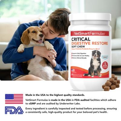 Show full view: VetSmart Formulas Critical Digestive Restore Soft Chew for Dogs, 60 count slide 8 of 10