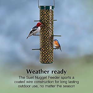 C&S Wild Bird Nugget Bird Feeder, 11.25-in
