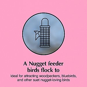 C&S Wild Bird Nugget Bird Feeder, 11.25-in