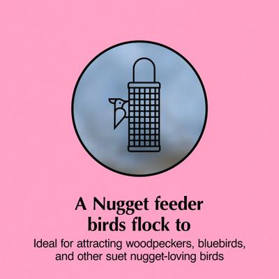 Show full view: C&S Wild Bird Nugget Bird Feeder, 11.25-in slide 4 of 13