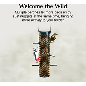 C&S Wild Bird Nugget Bird Feeder, 11.25-in