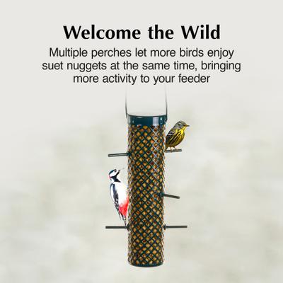 Show full view: C&S Wild Bird Nugget Bird Feeder, 11.25-in slide 2 of 13