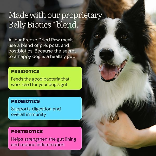 Get Joy Beef Recipe Human-Grade All Life Stages Freeze-Dried Raw Dog Food