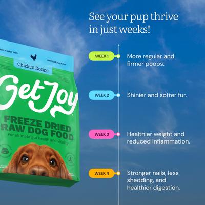 Show full view: Get Joy Chicken Recipe Human-Grade All Life Stages Freeze-Dried Raw Dog Food, 32-oz bag slide 6 of 12