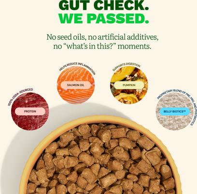 Show full view: Get Joy Beef Recipe Human-Grade All Life Stages Freeze-Dried Raw Dog Food, 32-oz bag slide 7 of 12