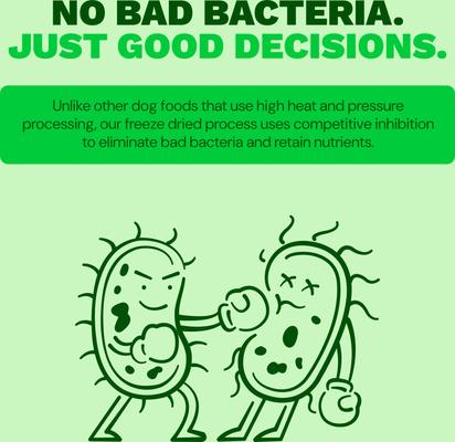 Show full view: Get Joy Beef Recipe Human-Grade All Life Stages Freeze-Dried Raw Dog Food, 32-oz bag slide 10 of 12