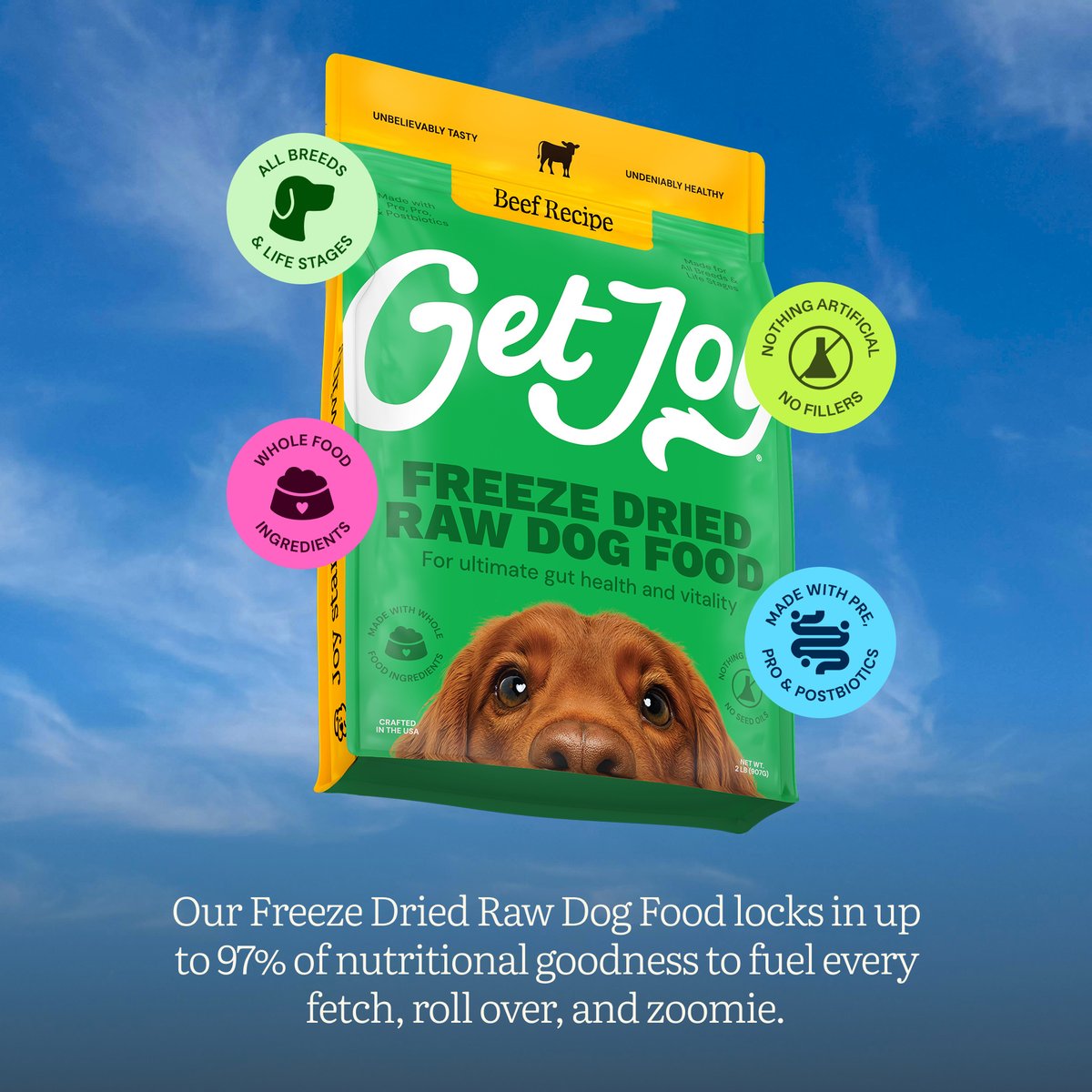 Get Joy Superfood Beef Organ Heart High Protein, Grain & Gluten-Free Freeze-Dried Dog Treats