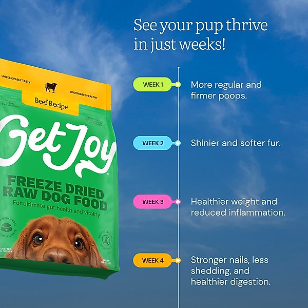 Get Joy Beef Recipe Human-Grade All Life Stages Freeze-Dried Raw Dog Food