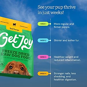 Get Joy Beef Recipe Human-Grade All Life Stages Freeze-Dried Raw Dog Food, 32-oz bag